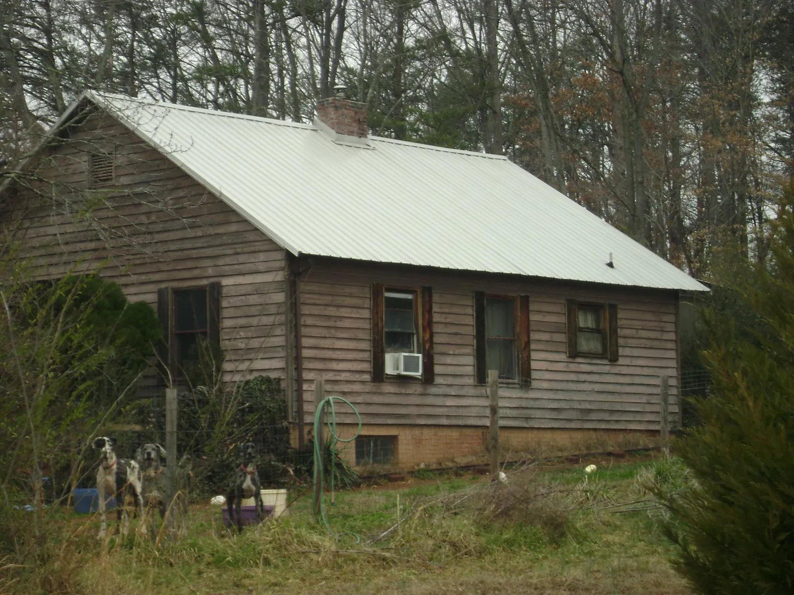 White metal roof on an old wood sided farmhouse, from a Metal Roof Installation job in Clearwater